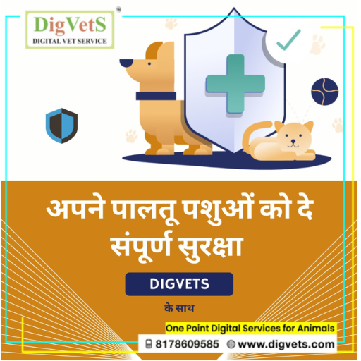 Pet Insurance